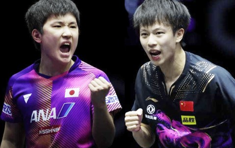 南宫28-莎拉波娃遭遇三连败，巴黎圣日耳曼教练面临压力！的简单介绍